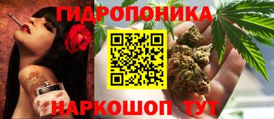 гидра Комсомольск-на-Амуре