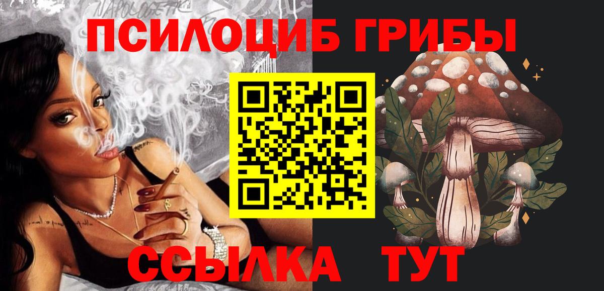 Галлюциногенные грибы мицелий  Псилоцибиновые грибы ЛСД  Кохма  Вход с VPN 