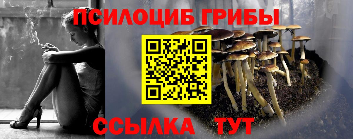 Галлюциногенные грибы прущие грибы Кохма
